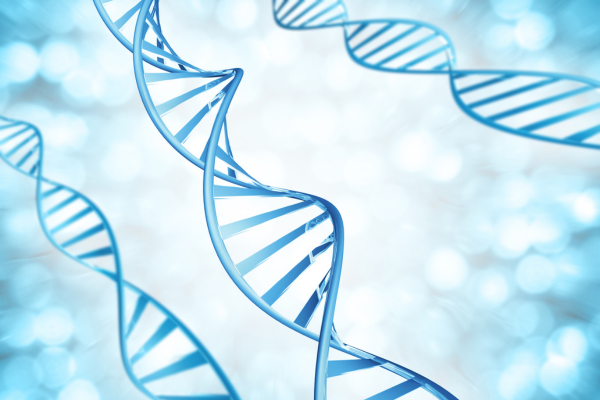 Multiple blue DNA double helix strands symbolizing advanced genetic research and genomics
