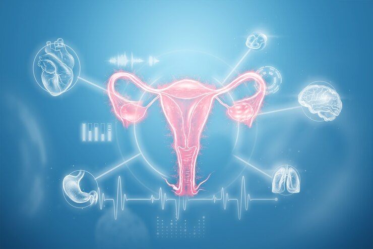 A glowing, stylized illustration of a female reproductive system with interconnected organs.